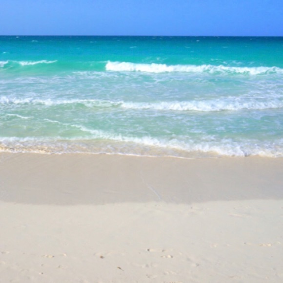 ⭐️Meet your Posher, Akuna⭐️ - Picture 1 of 1